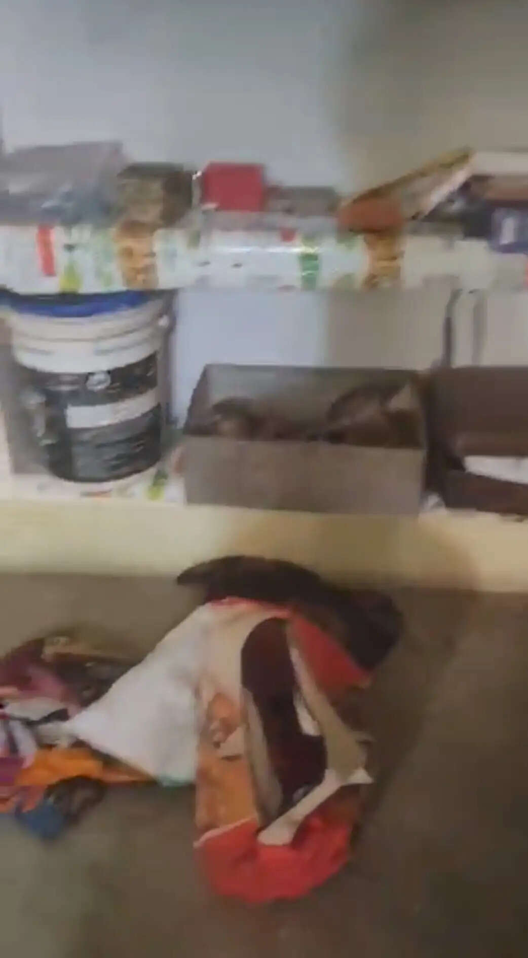 मां—बेटी गई थी दवा लेने, घर से नकदी और जेवर समेत लाखाें का कीमती सामान ले उड़े चोर