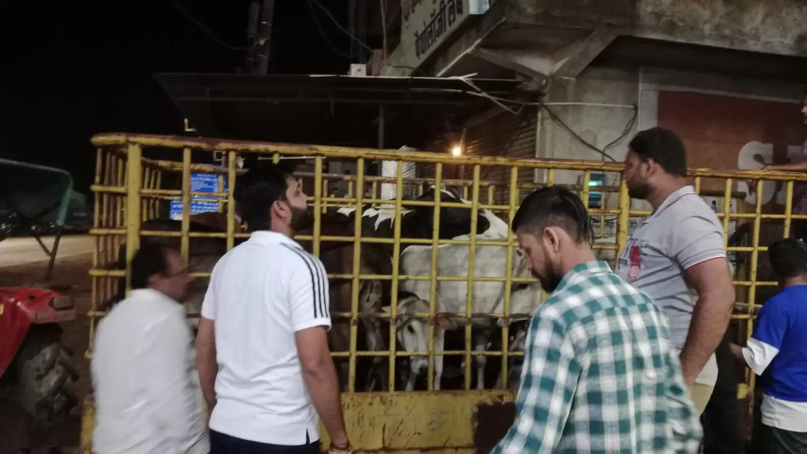 सड़कों से हटेंगे बेसहारा मवेशी, निगम ने 18 मवेशियों को अर्जुनी गौठान भेजा