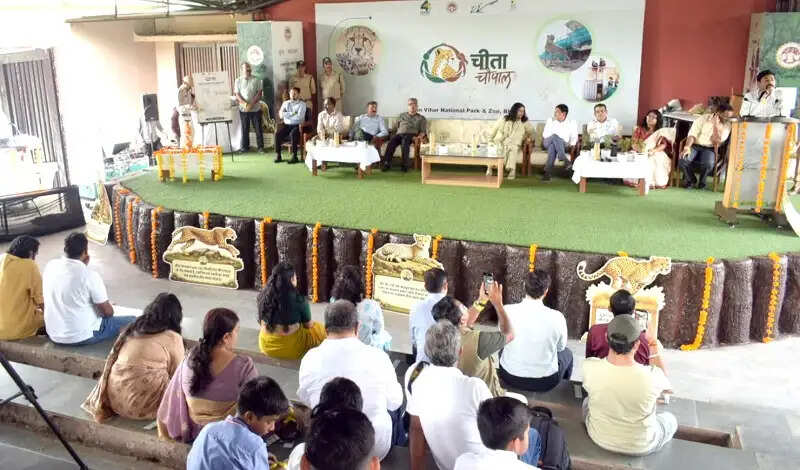 भोपालः प्रोजेक्ट चीता के चार वर्ष पूर्ण होने पर राष्ट्रीय उद्यान वन विहार में हुई ‘चीता चौपाल’