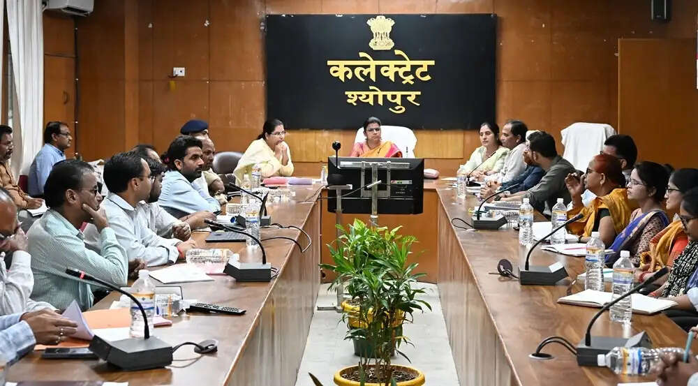 ड्रॉप आउट बच्चों को स्कूल में दाखिल कराने समन्वय से कार्य करें : डॉ निवेदिता शर्मा