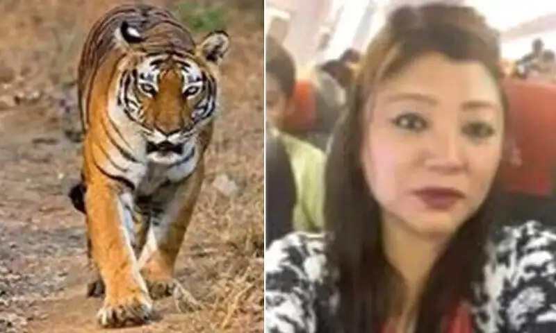 मप्रः अंतराष्ट्रीय बाघ तस्कर यांगचेन लाचुंगपा की दूसरी जमानत याचिका भी निरस्त