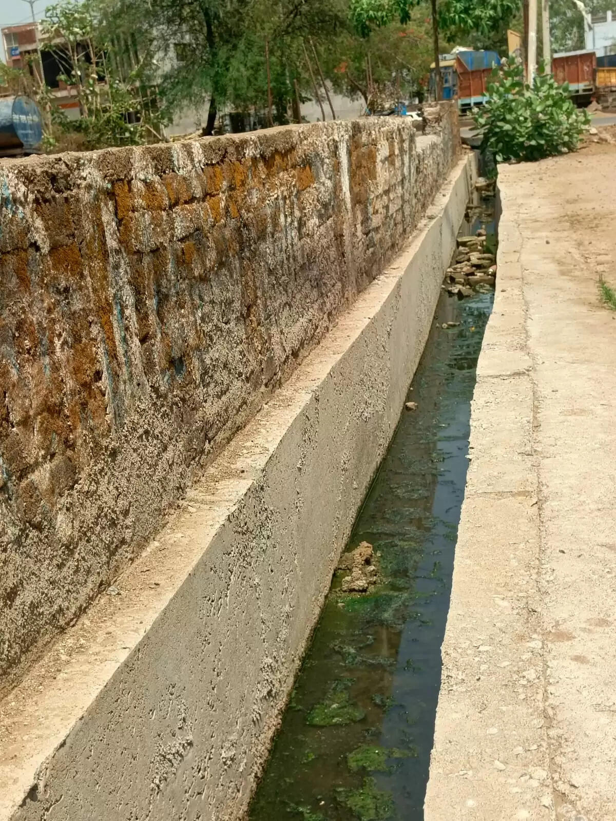 माहभर पहले बनी कांक्रीट की निकासी नाली में केकड़े बना रहे बिल