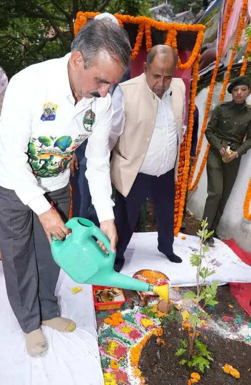 मुख्यमंत्री ने चिनार वृक्षारोपण अभियान के प्रथम चरण का शुभारंभ किया