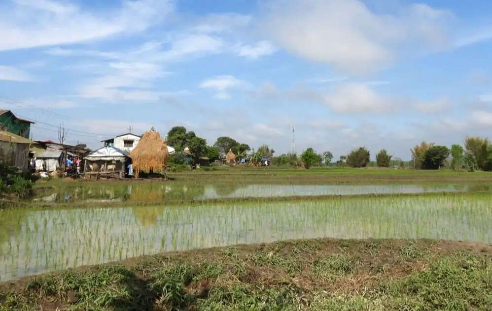 पश्चिम एशिया तनाव से नेपाल में उर्वरक संकट गहराया, बुआई सीजन पर होगा असर