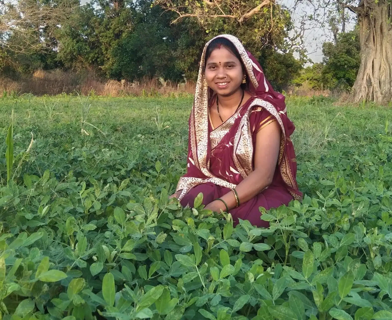 बालको की पहल से मूंगफली बनी किसानों की आय बढ़ाने का सशक्त माध्यम
