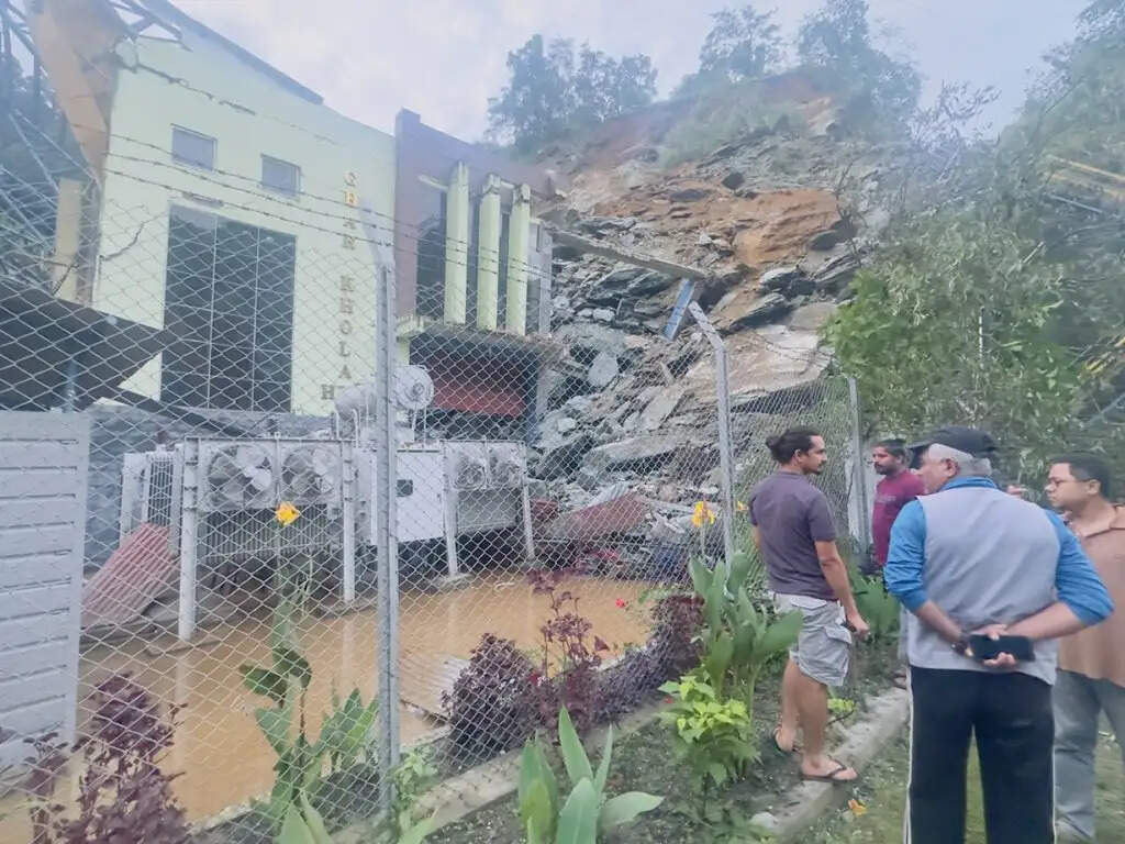 नेपाल के म्याग्दी में जलविद्युत परियोजना के पावरहाउस पर भूस्खलन, एक लापता और एक घायल