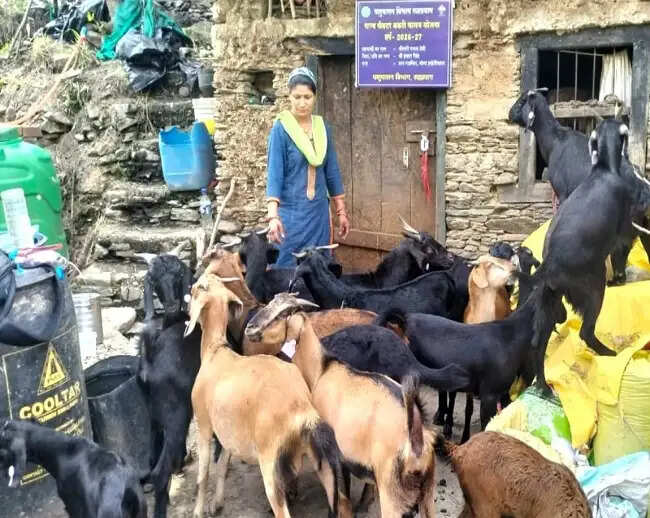 पशुपालन योजनाओं से स्वरोजगार की राह आसान