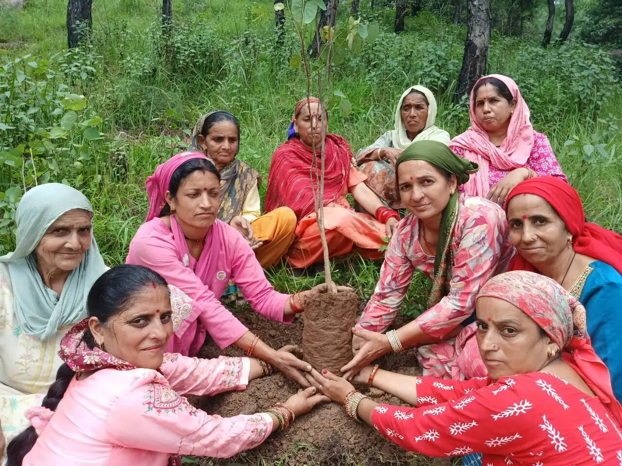 राजीव गांधी वन संवर्धन योजना ग्रामीण महिला व युवक मंडलों के लिए आजीविका के खुले नए द्वार