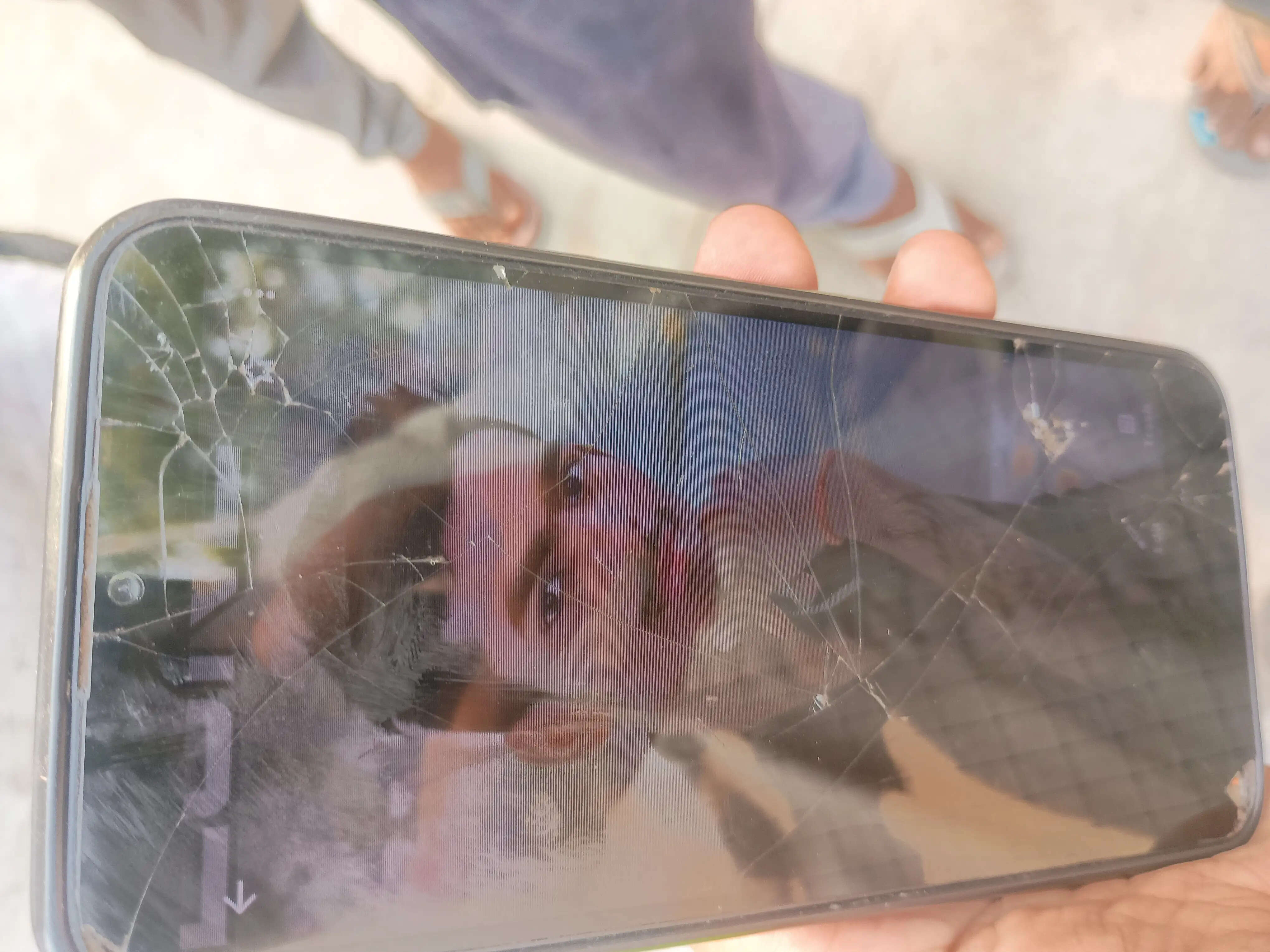 युवक की इलाज के दाैरान माैत, परिजनों ने पीट कर हत्या करने का लगाया आरोप