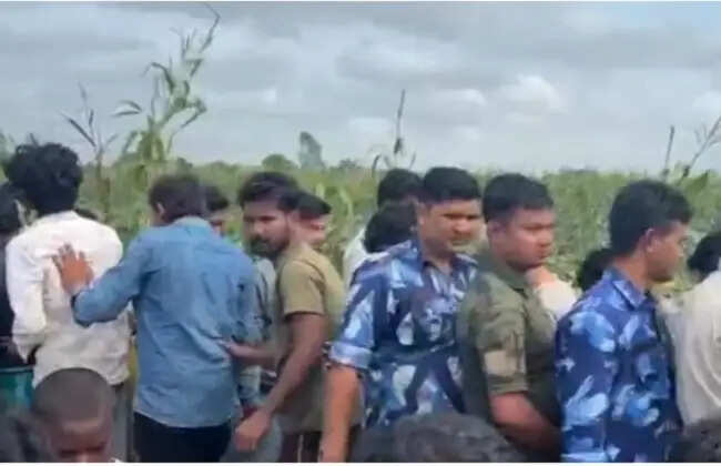 मक्के के खेत में मिला गला कटा शव, इलाके में दहशत