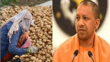 आलू किसानों के लिए उप्र सरकार ने किया पोर्टल लांच