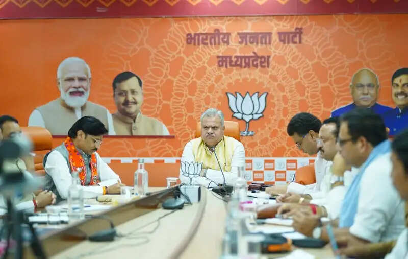 भाजपा संगठन को और मजबूत करने समाज में सक्रिय भूमिका निभाएं मोर्चा पदाधिकारीः हेमंत खण्डेलवाल