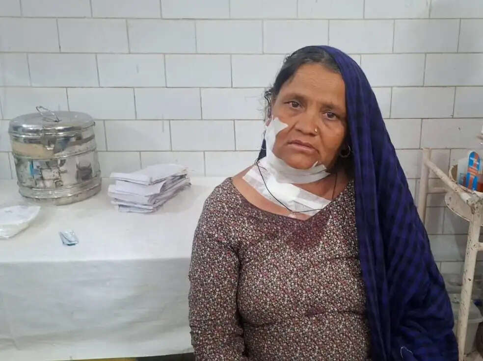 खेत में काम कर रही महिला को गुलदार ने हमला कर किया घायल