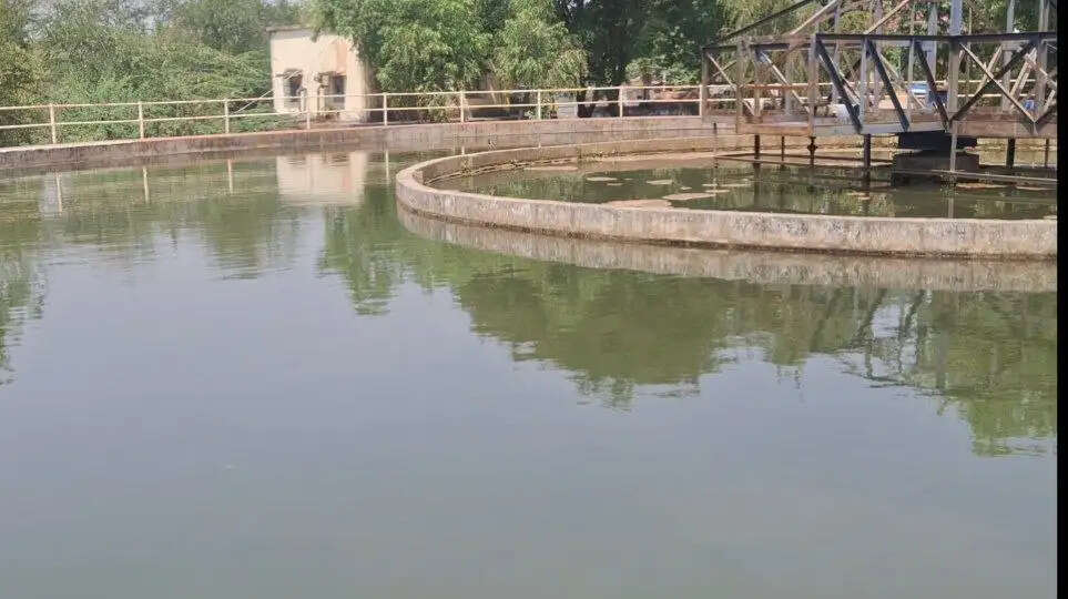 दमोहः कलेक्टर ने किया फिल्टर प्लांट का औचक निरीक्षण, कई खामियां उजागर