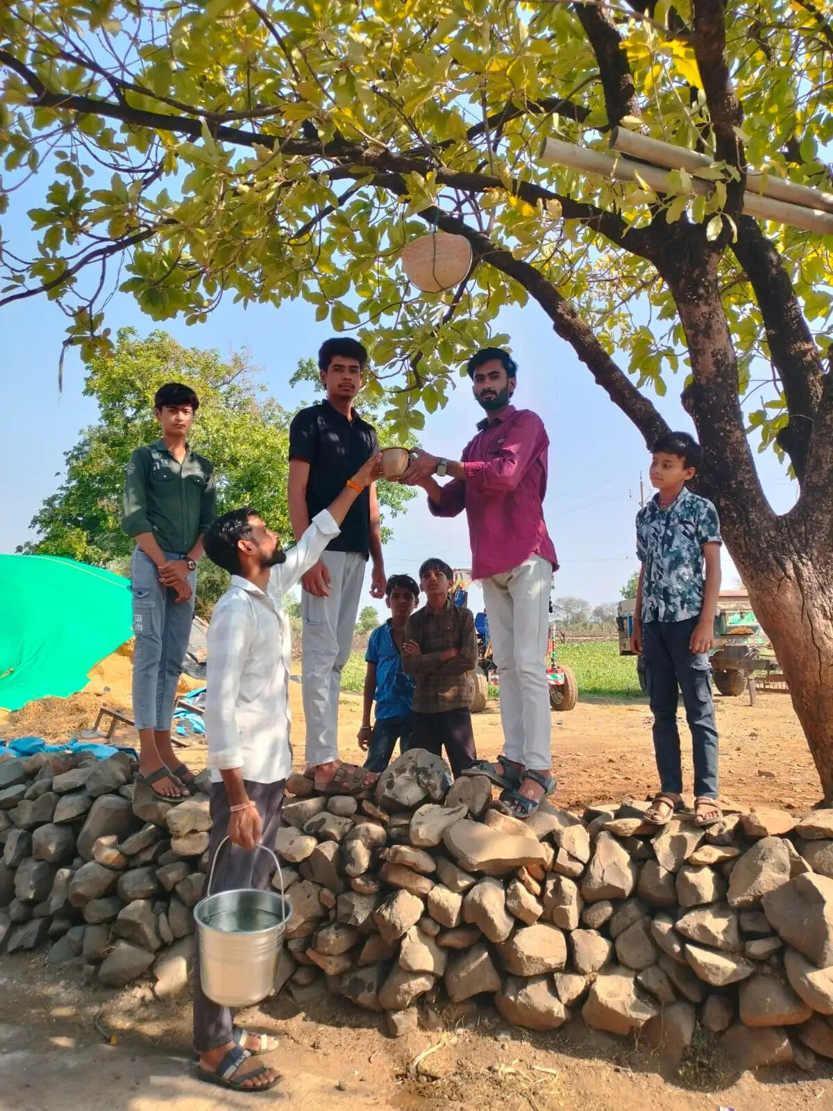 राजगढ़ःभीषण गर्मी में युवाओं की अनोखी पहल,पक्षियों के लिए लगाए सकोरे-मटके
