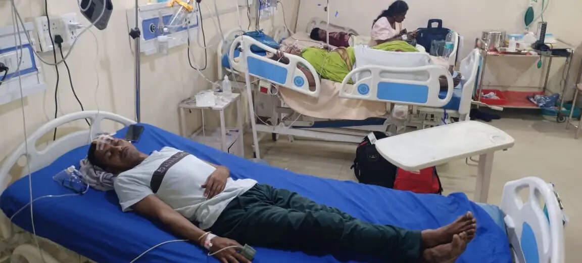 बिहार में तमिलनाडु के पर्यटकों से भरी ट्रैवलर ने ट्रक में मारी टक्कर, एक की मौत, 19 घायल