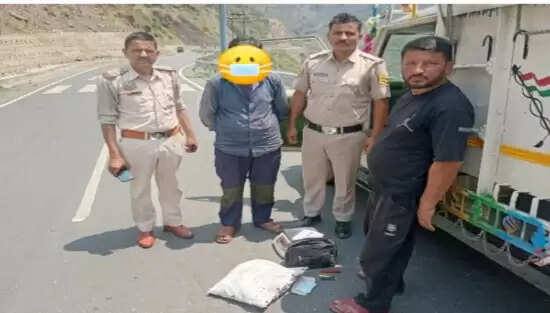 शिलाई में वाहन से 718 अफीम डोडे बरामद