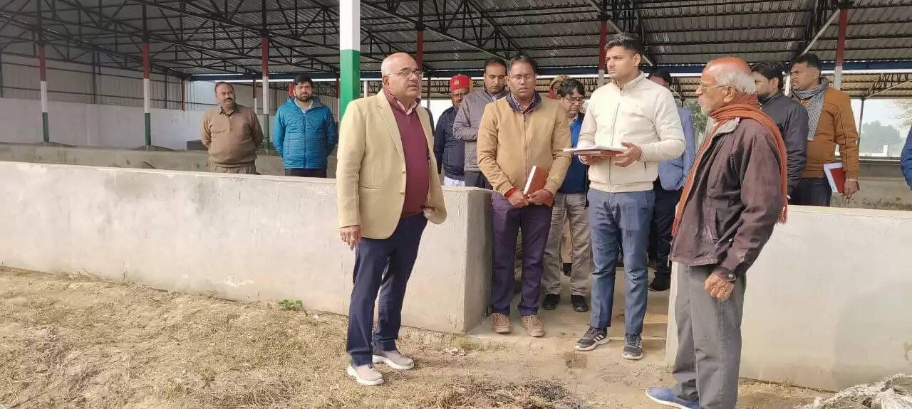 26 जनवरी तक घाटमपुर गौशाला का शुरू हाे जाए संचालन : डीएम