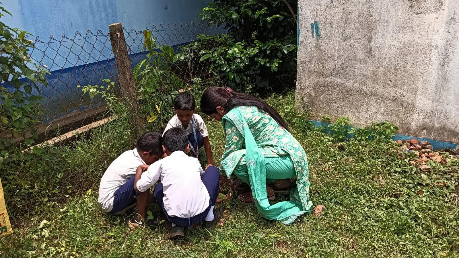 डेबरा में 30 हजार पौधों का वितरण, पर्यावरण संरक्षण का व्यापक अभियान