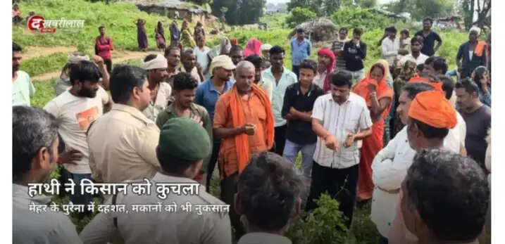 मैहर में जंगली हाथी का आतंक, ग्रामीण की मौत और तीन मकान ढहाए