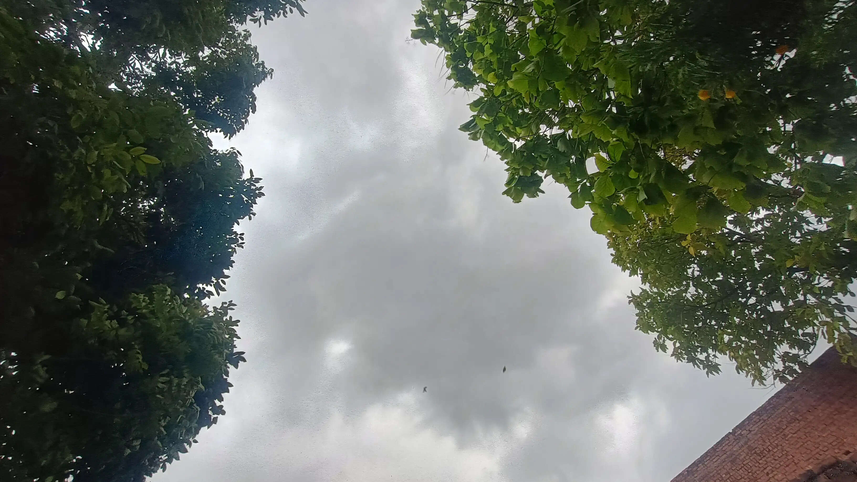 जौनपुर में आंधी-बारिश से मौसम हुआ सुहाना, तापमान में गिरावट से मिली गर्मी से राहत