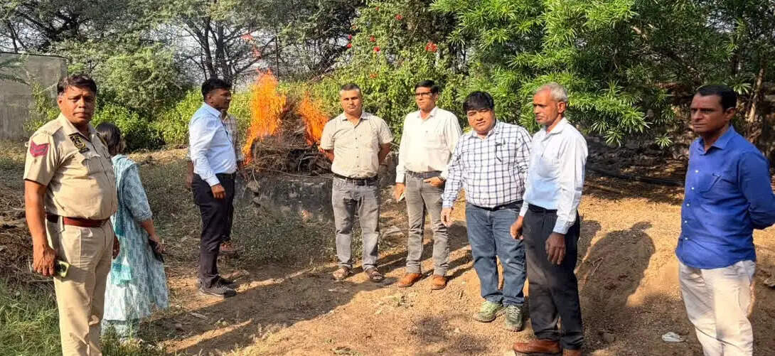 एमएनआईटी परिसर में मिला आठ माह के लेपर्ड शावक का शव