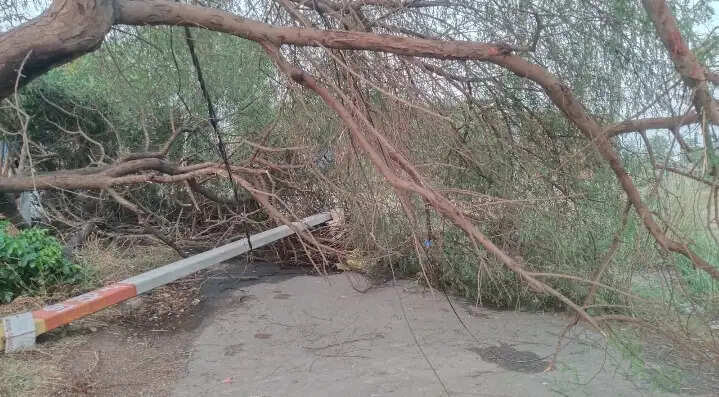 रायबरेली में तूफ़ान से भारी तबाही, दो की मौत व कई घायल