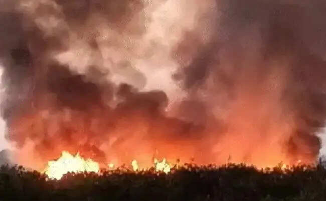 इंदौरः एयरपोर्ट परिसर के पास सूखी झाड़ियों में लगी भीषण आग, मौके पर पहुंची दमकल की गाडियां