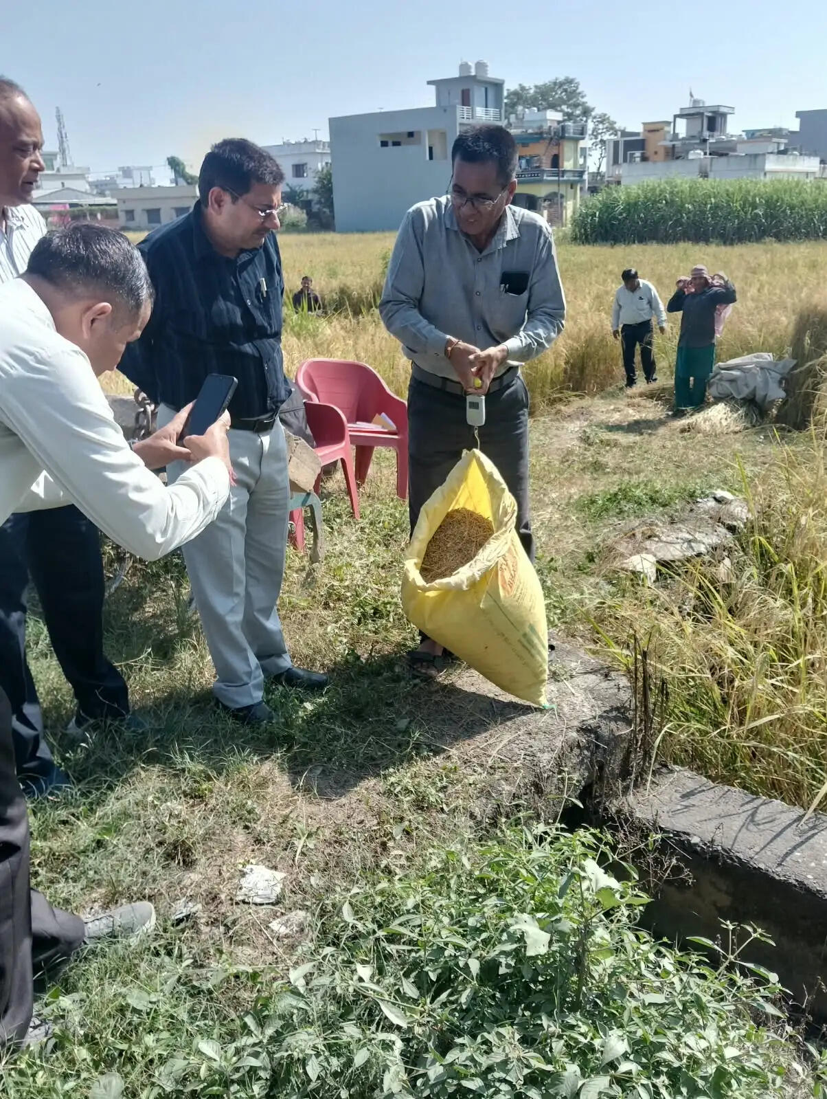 धान फसल कटाई प्रयोग का अपर जिलाधिकारी ने किया निरीक्षण