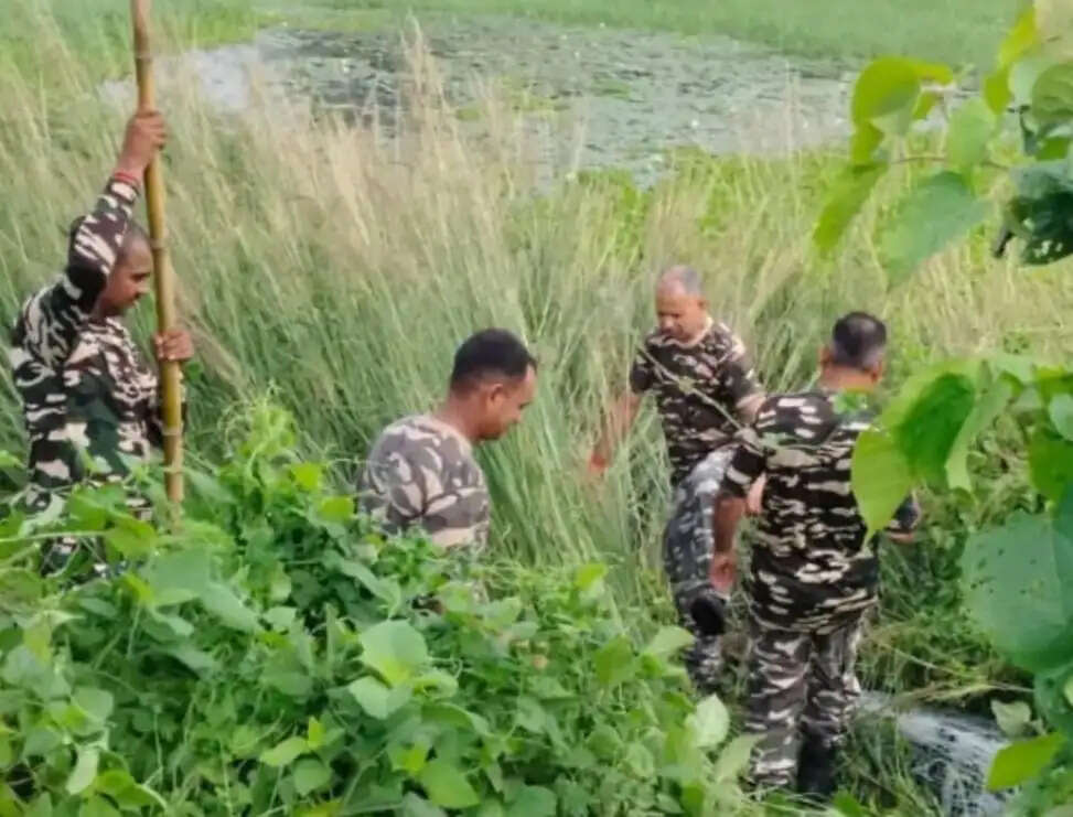 भारत-नेपाल सीमा पर एसएसबी की बड़ी कार्रवाई, 451 किलो गांजा सहित 77 लीटर शराब जब्त