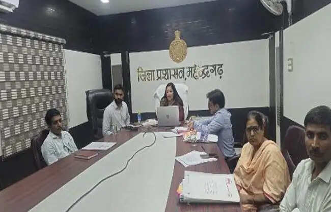 नारनाैल में 46964 मीट्रिक टन बाजरे की हुई सरकारी खरीद