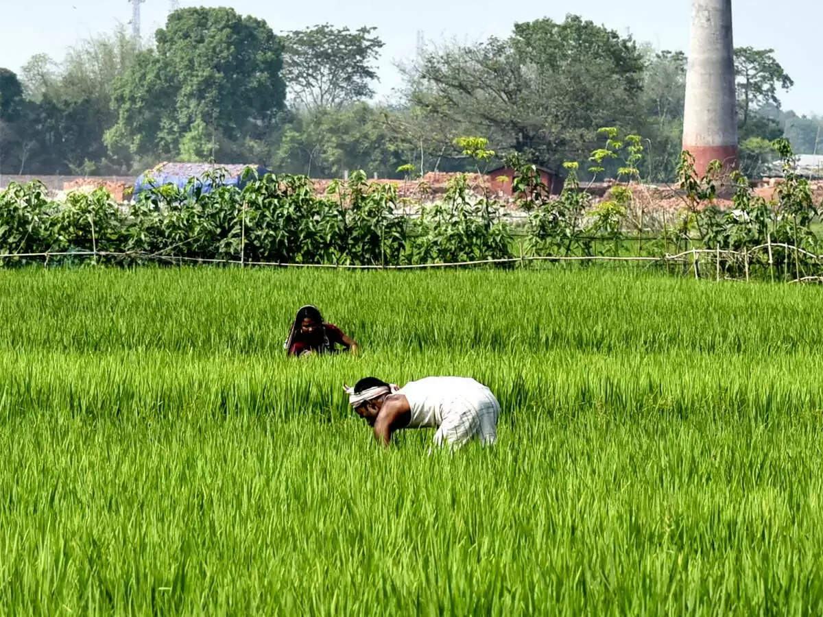 राजसमंद एवं सिरोही में फार्मर रजिस्ट्री आधारित उर्वरक वितरण प्रणाली होगी लागू