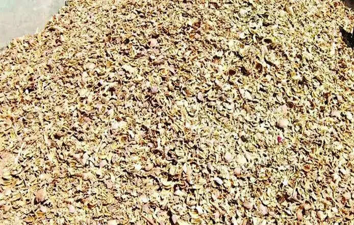चित्तौड़गढ़ में कार से 156.650 किलो डोडा चूरा जब्त, तस्कर फरार