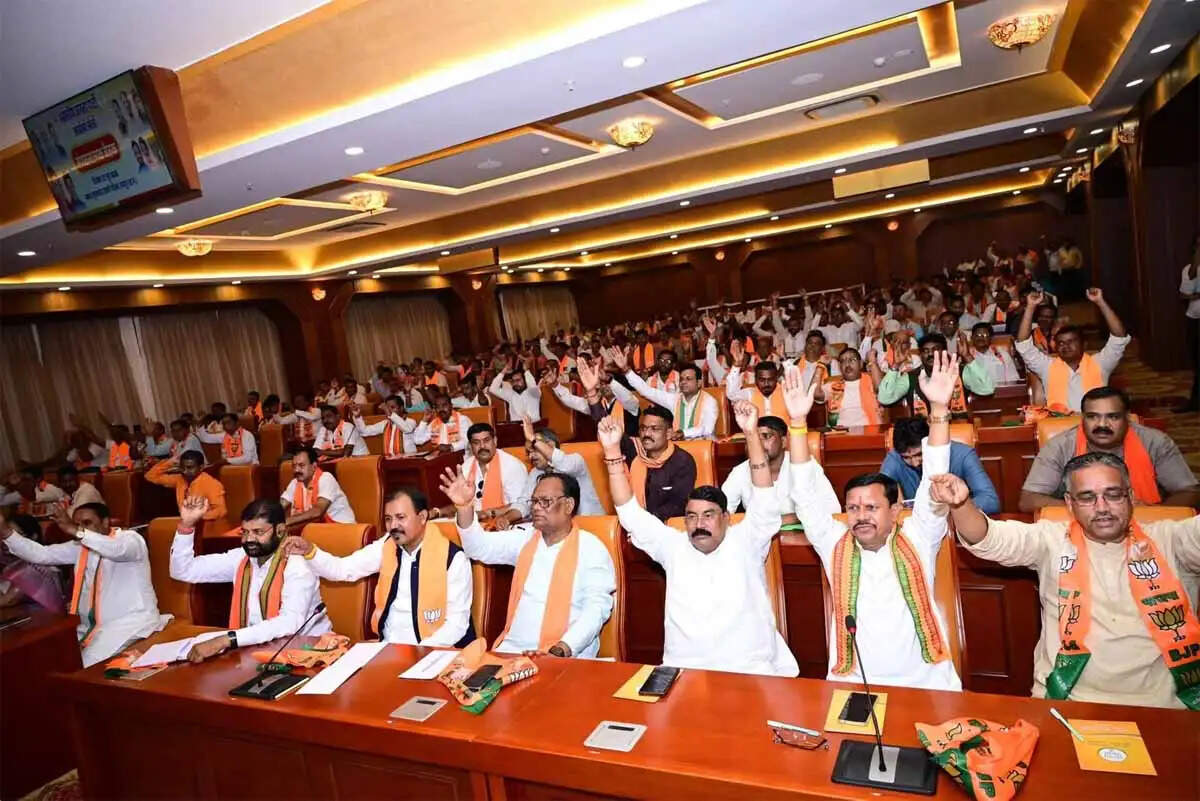 प्रधानमंत्री नरेंद्र मोदी के 12 साल की उपलब्धियों को जन-जन तक पहुँचाना है : कृष्णा गौर