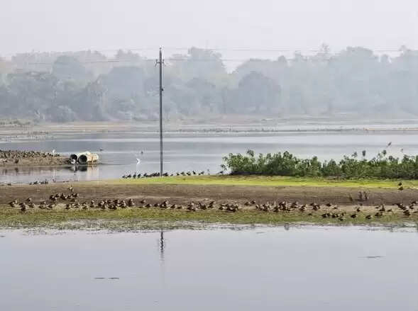 आसनसोल रेंज में स्थित चित्तरंजन जलाशयों का निरीक्षण
