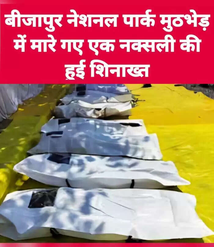 बीजापुर में मारे गए नक्सली की पहचान स्कूल में रसाेई सहायक के रूप में हुई