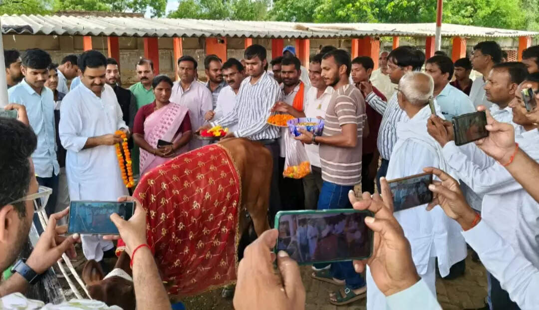 कन्नौज : मंत्री असीम अरुण ने अनौगी गोवंश आश्रय स्थल जाकर गायों को खिलाया गुड़ चना