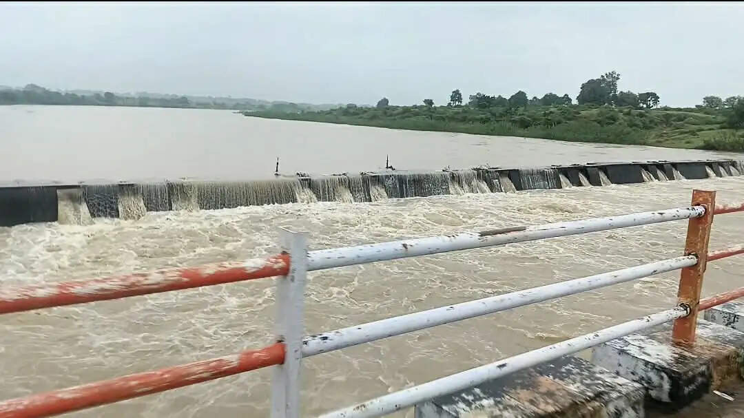 अनूपपुर: नदी-नाले उफान पर, पुल-रपटों पर पानी, गांवों का टूटा संपर्क, अबतक 3 इंच बारिश