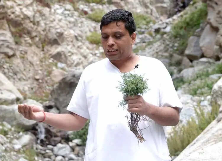 भारत की वनस्पति विरासत संवार रहा पतंजलि, 27 हजार से अधिक नमूने संरक्षित
