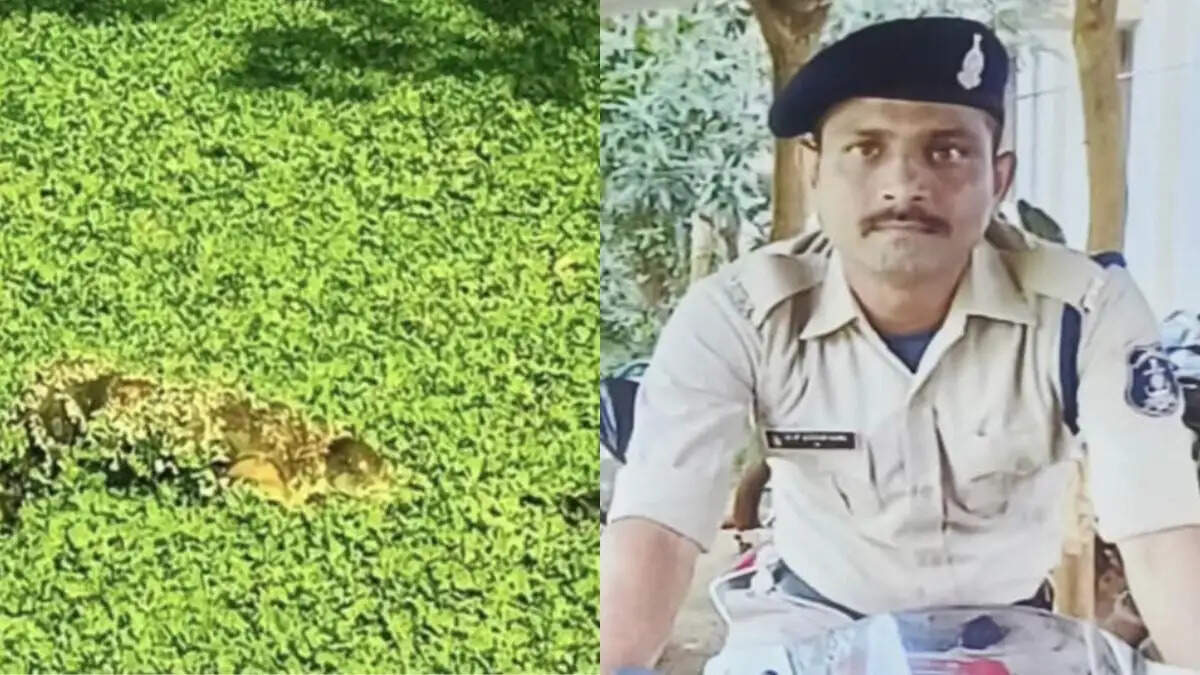 सक्ती : छत्तीसगढ़ आर्म्ड फोर्स के आरक्षक की तालाब में मिली लाश, दंतेवाड़ा में था पदस्थ