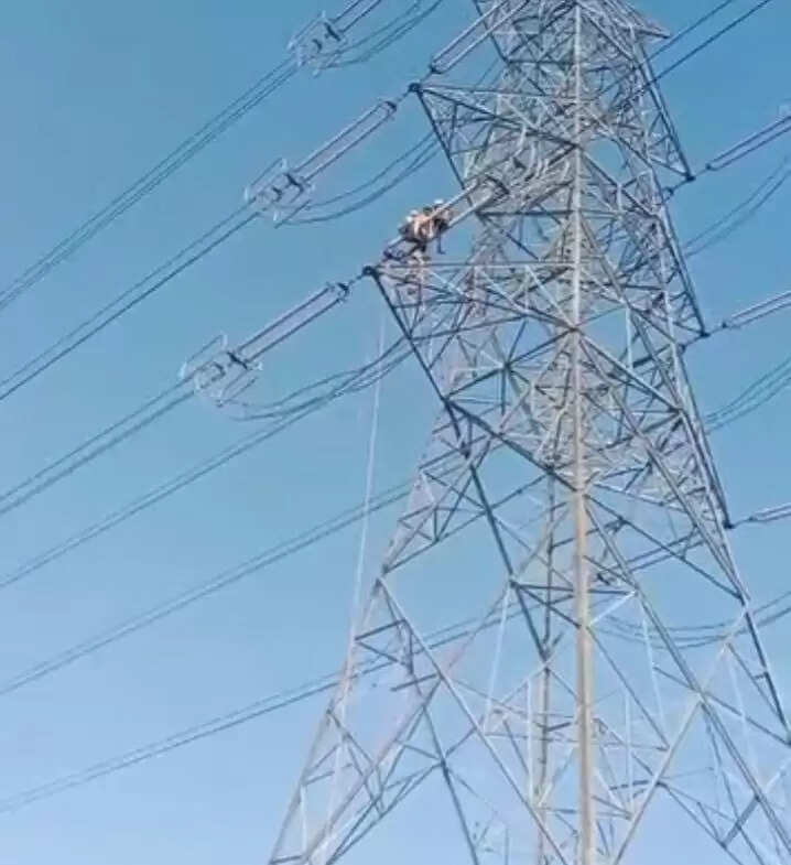 अनूपपुर: शराब के नशे में हाई टेंशन टावर पर चढ़ा युवक, 4 घंटे बंद रहीं विद्युत सप्लाई