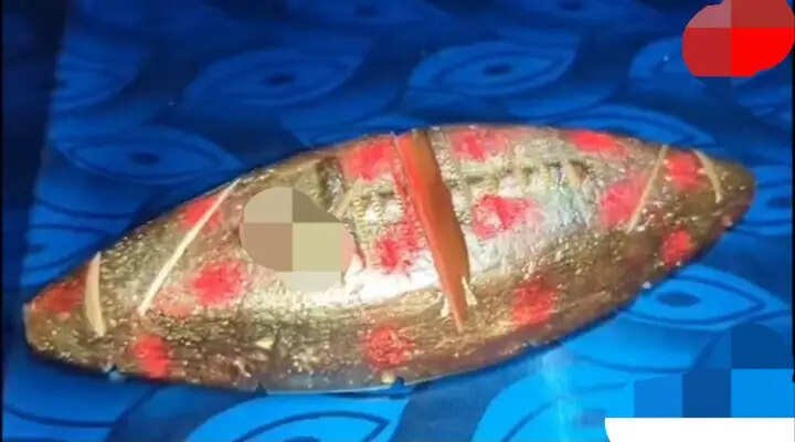 नकली सोने की नाव बेचने आए कर्नाटक और महाराष्ट्र के दो ठग जागीरोड में गिरफ्तार