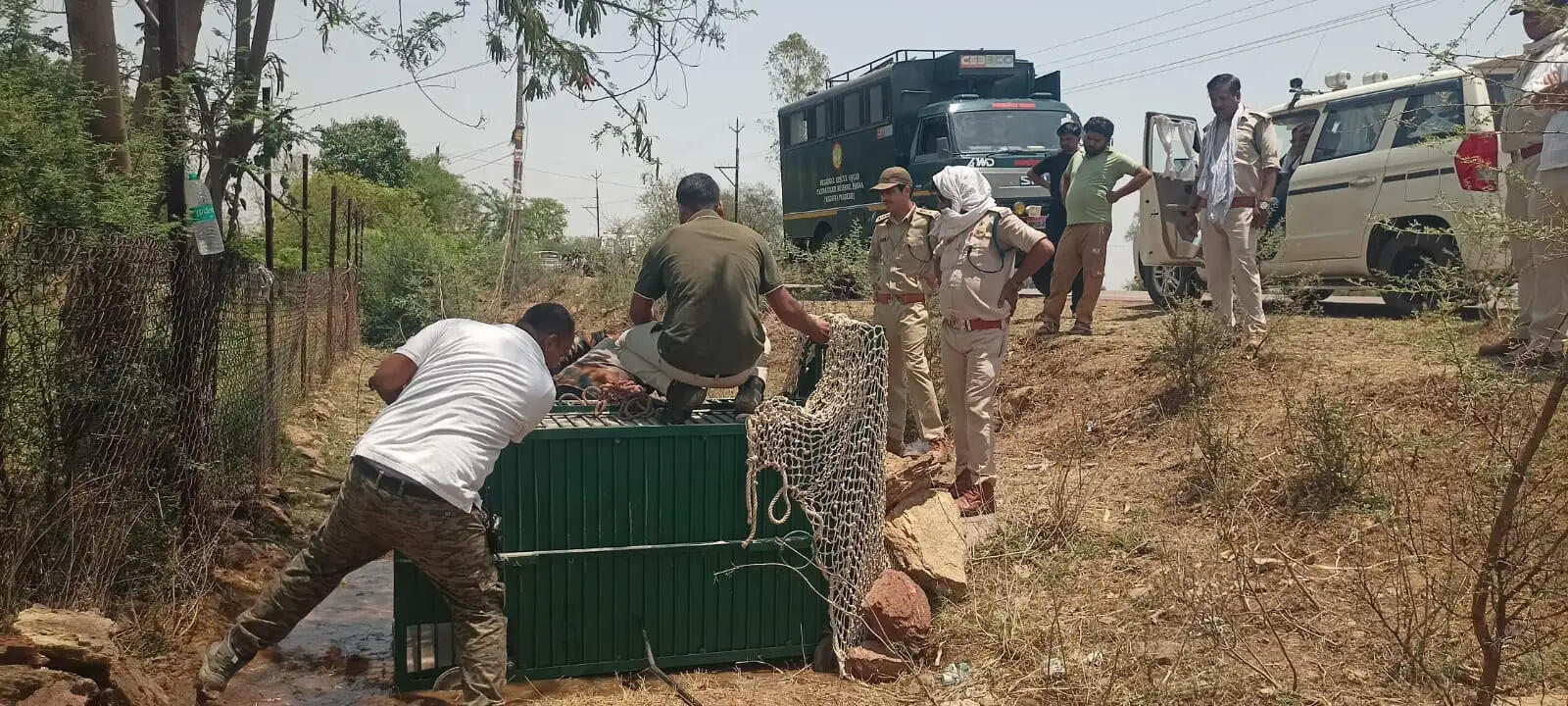 पाइप में फंसे तेंदुए का सफल रेस्क्यू, वन विभाग ने सुरक्षित जंगल में छोड़ा