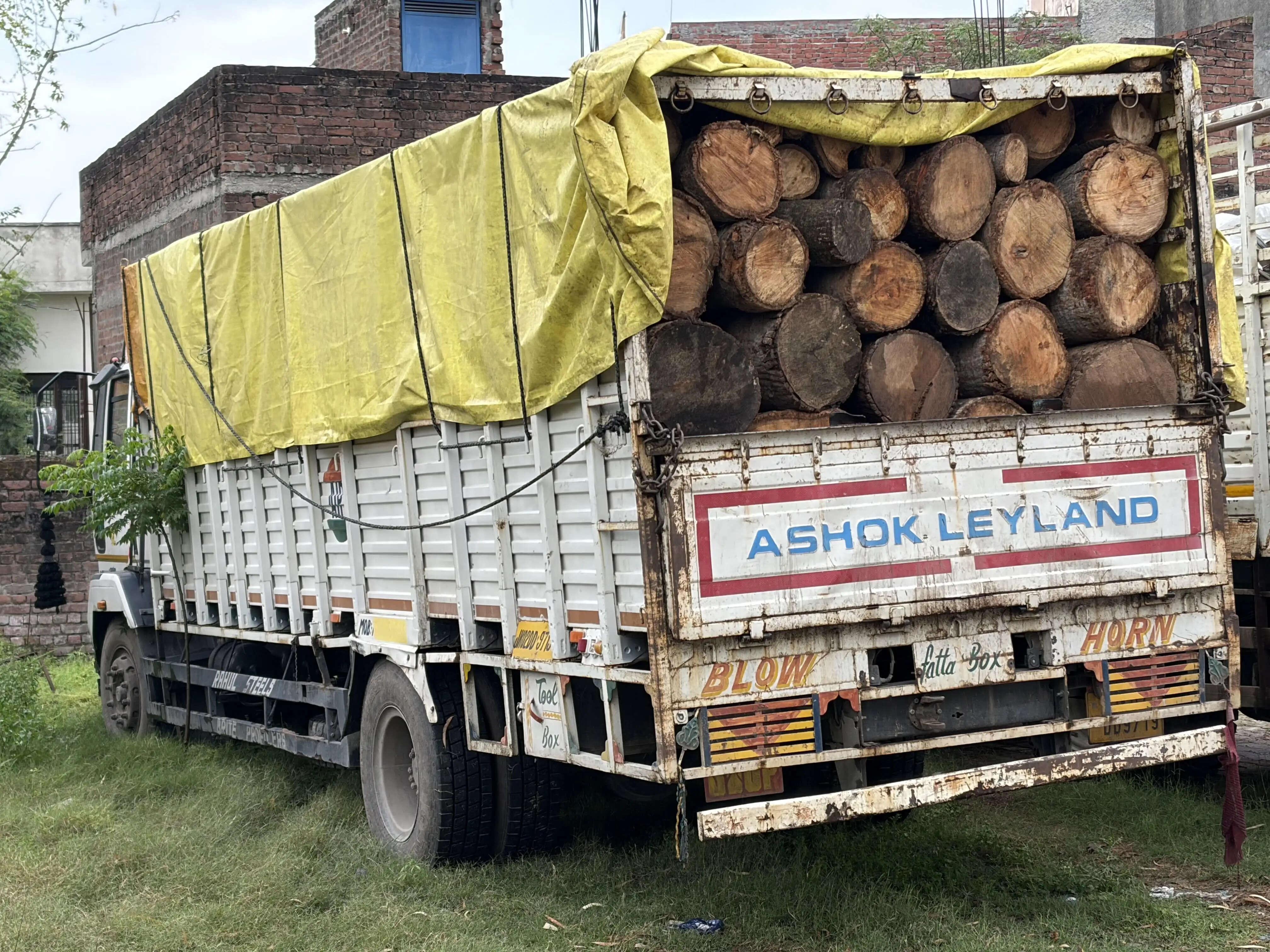 कठुआ में अवैध लकड़ी तस्करी पर शिकंजा, 116 लॉग से भरा ट्रक जब्त