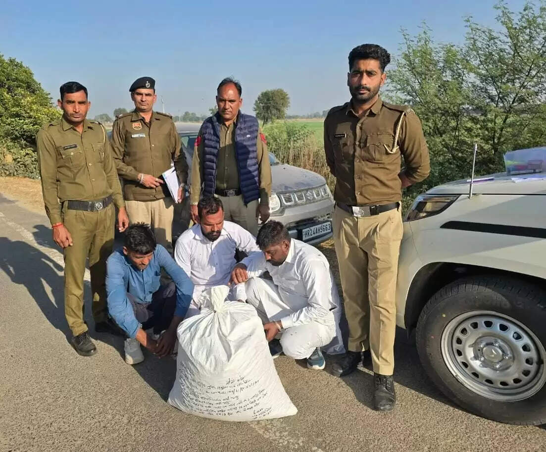 सिरसा: कार सवार तीन चूरापोस्त तस्कर गिरफ्तार