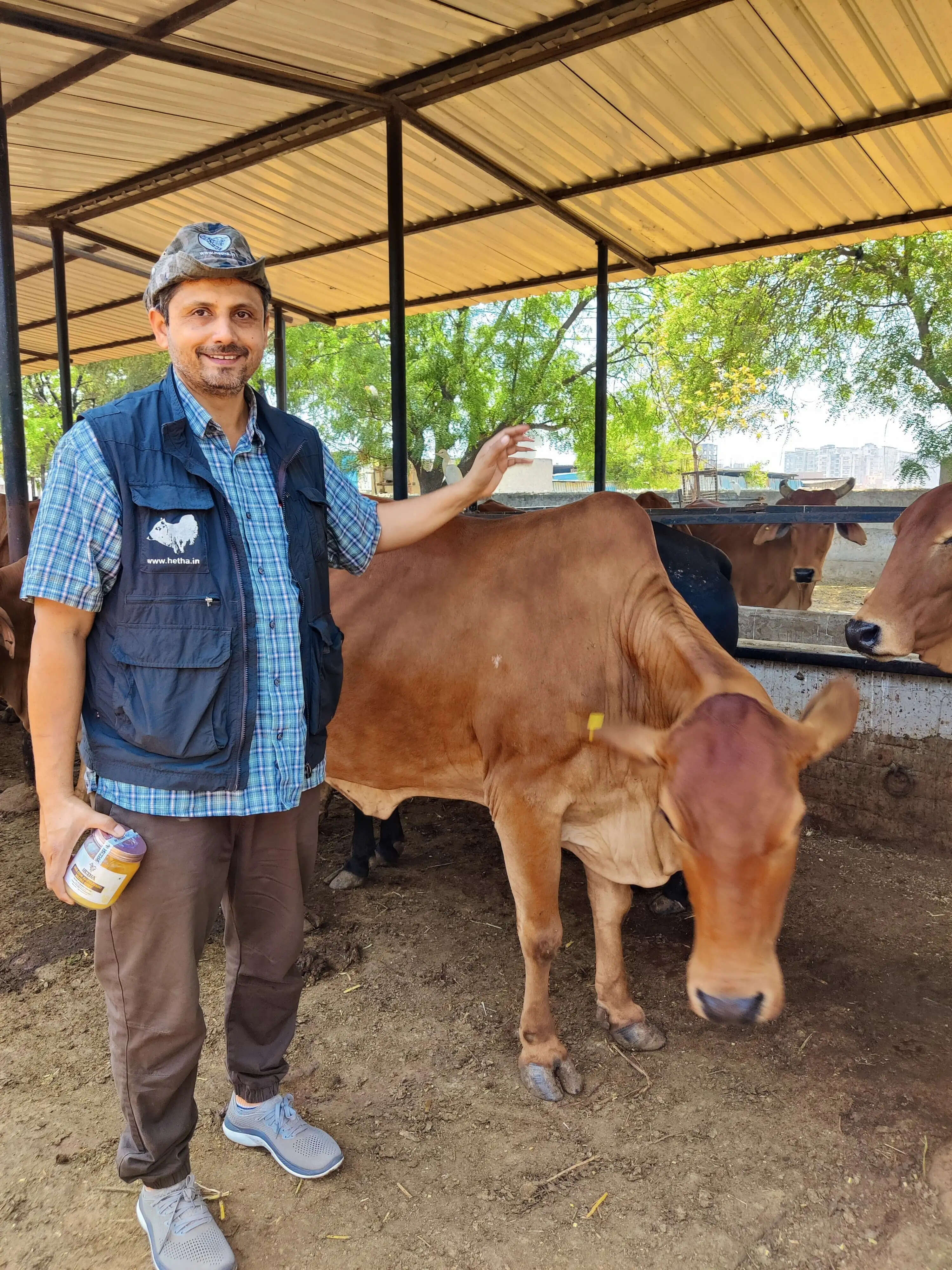 गो संरक्षण विशेष : यूके, यूएसए, ऑस्ट्रेलिया समेत 10 से अधिक देशों में बजा यूपी का डंका
