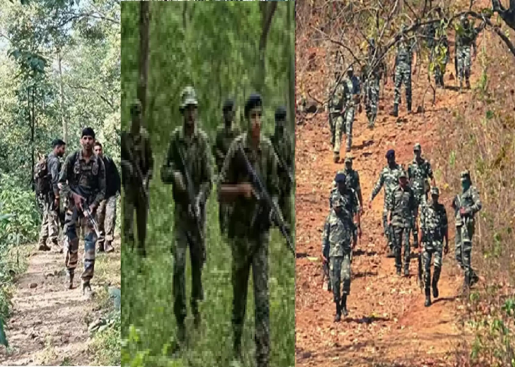 मप्र के बालाघाट के जंगलों में नक्सलियों से मुठभेड़, सुरक्षा बलों का बड़ा अभियान जारी