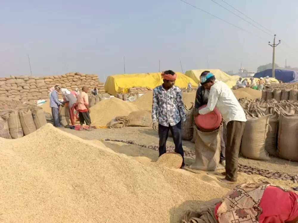 रायपुर : &nbsp;छत्तीसगढ़&nbsp;में&nbsp;अब तक 93.12 लाख मैट्रिक टन धान की खरीद