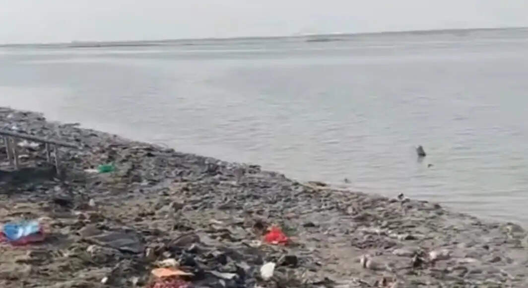 भागलपुर दियारा में बाढ़ के बाद उभरी उम्मीद की नई जमीन