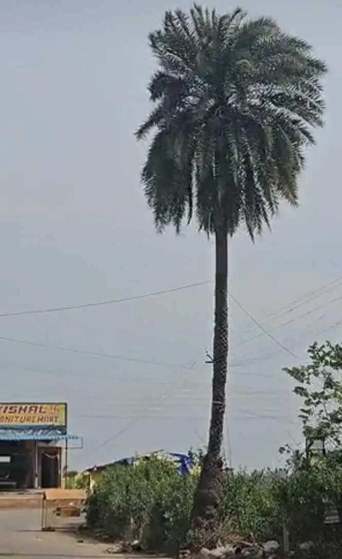 सुकमा जिला प्रशासन चक्रवात तुफान को लेकर सतर्क